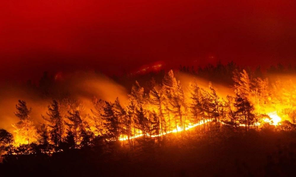 Δασικές πυρκαγιές κατακαίνε την αργεντίνικη Παταγονία - Κάηκαν 250.000 στρέμματα από το καλοκαίρι